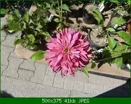 CIMG9868.webp