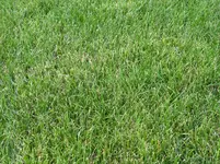 24.8._2.webp