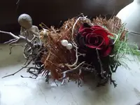 DSCF1572.webp