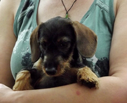 Freda&NETTE (2).webp