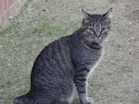 Oskar (4).webp