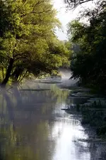 IMG_6369.webp