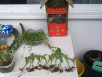 25082011225.webp