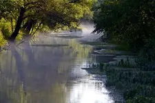 IMG_6368.webp