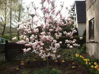 DSCF0087.webp