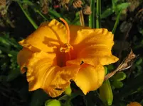IMG_big time happy2_1067x800.webp