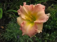 IMG_blessing5_1067x800.webp