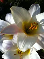 005.webp