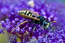 26.8.11 (144 von 231).webp