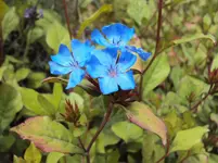 DSC01559.webp