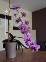 DSC01602.webp