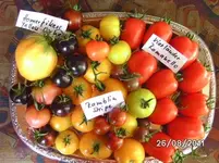 BILD0208.webp