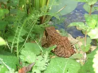 k-DSCF0124.webp