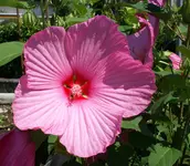 DSC04336.webp