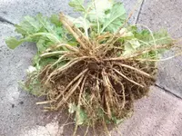 20110828140854.webp