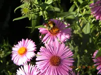 DSCN0784.webp