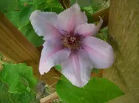 CIMG3984.webp