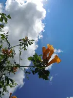 Himmlisch013.webp