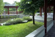 100_0471.webp