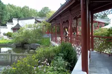 100_0477.webp