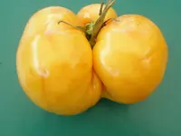 P1010191.webp