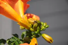 DSC_7034.webp