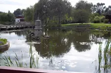 100_0478.webp