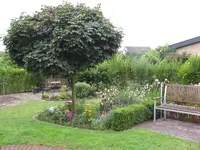 IMG_5527.webp IMG_5527.webp