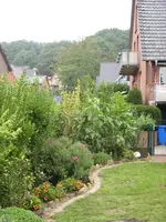 rtgHaus.webp rtgHaus.webp