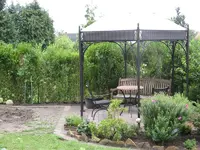 IMG_5529.webp IMG_5529.webp