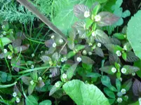 Bild 360.webp
