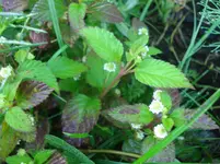 Bild 361.webp