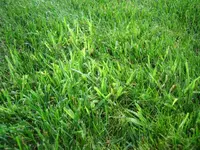 IMG_2487.webp