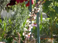 DSCN0786.webp