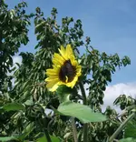 020811:19.webp