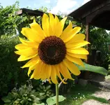 100811:10.webp