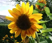 100811:11.webp