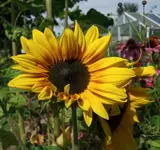 310711:06.webp