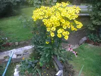 9.9.2010 010.webp