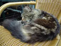DSCN0158.webp