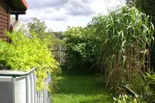 Garten 08 2011 003.webp