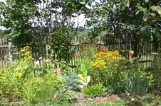 Garten 08 2011 005.webp