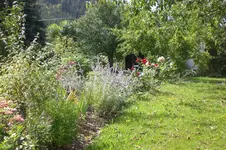 Garten 08 2011 010.webp