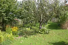 Garten 08 2011 014.webp