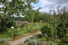Garten 08 2011 021.webp