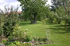 Garten 08 2011 022.webp