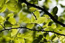 28.8.11 (79 von 238).webp