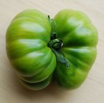 tomatenvielfalt_III.jpg