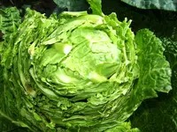 BILD3476.webp