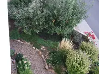 A-Baum 08-2011.webp